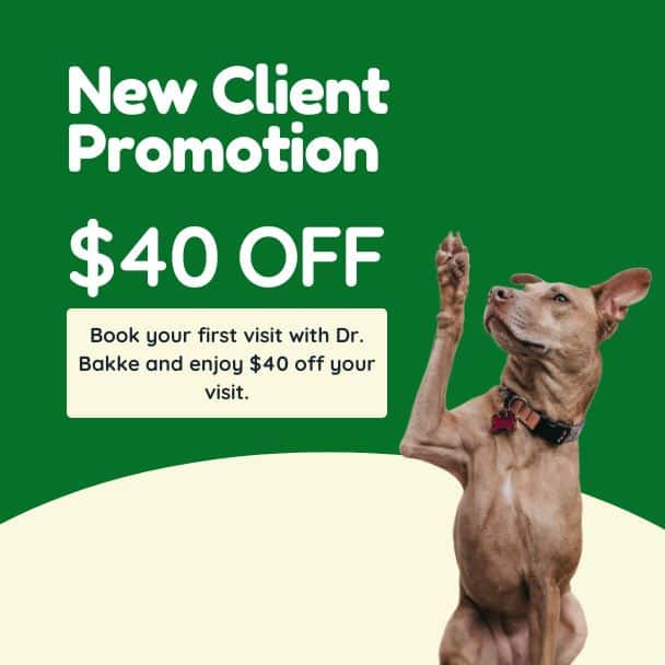 Refer a fur-iend graphic